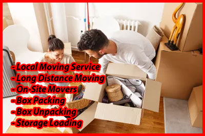 Packers And Movers Noida Sector 99